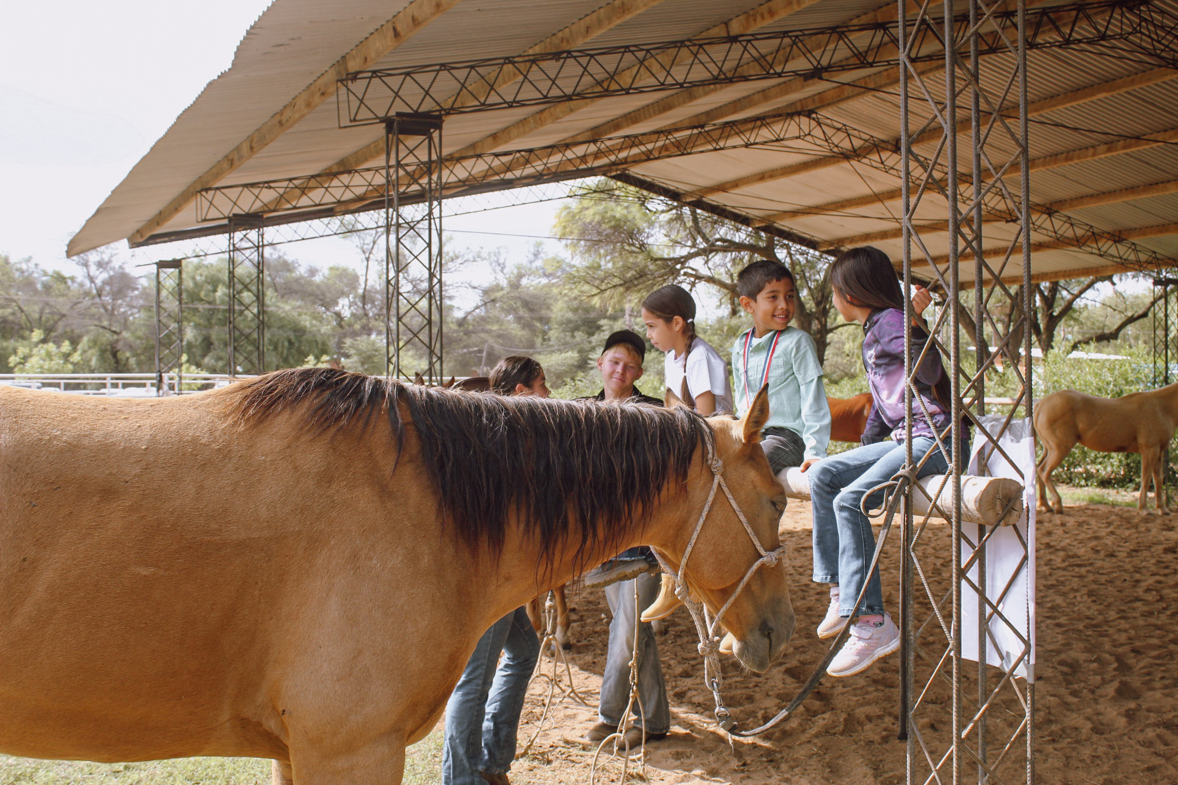 Mennonites In Paraguay #4: Celebrating 10 Years Of Equine Therapy In Neuland