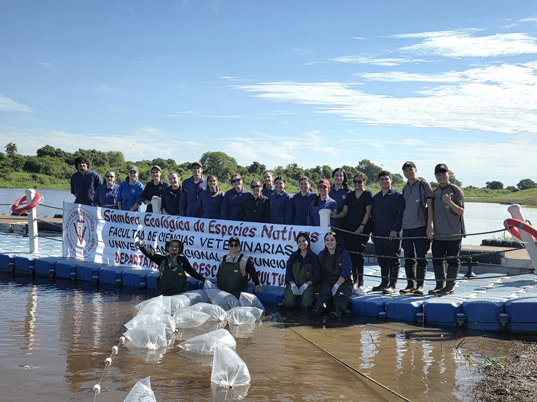 Ecological Planting Of Native Fish In Paraguay River On National Pacú Day