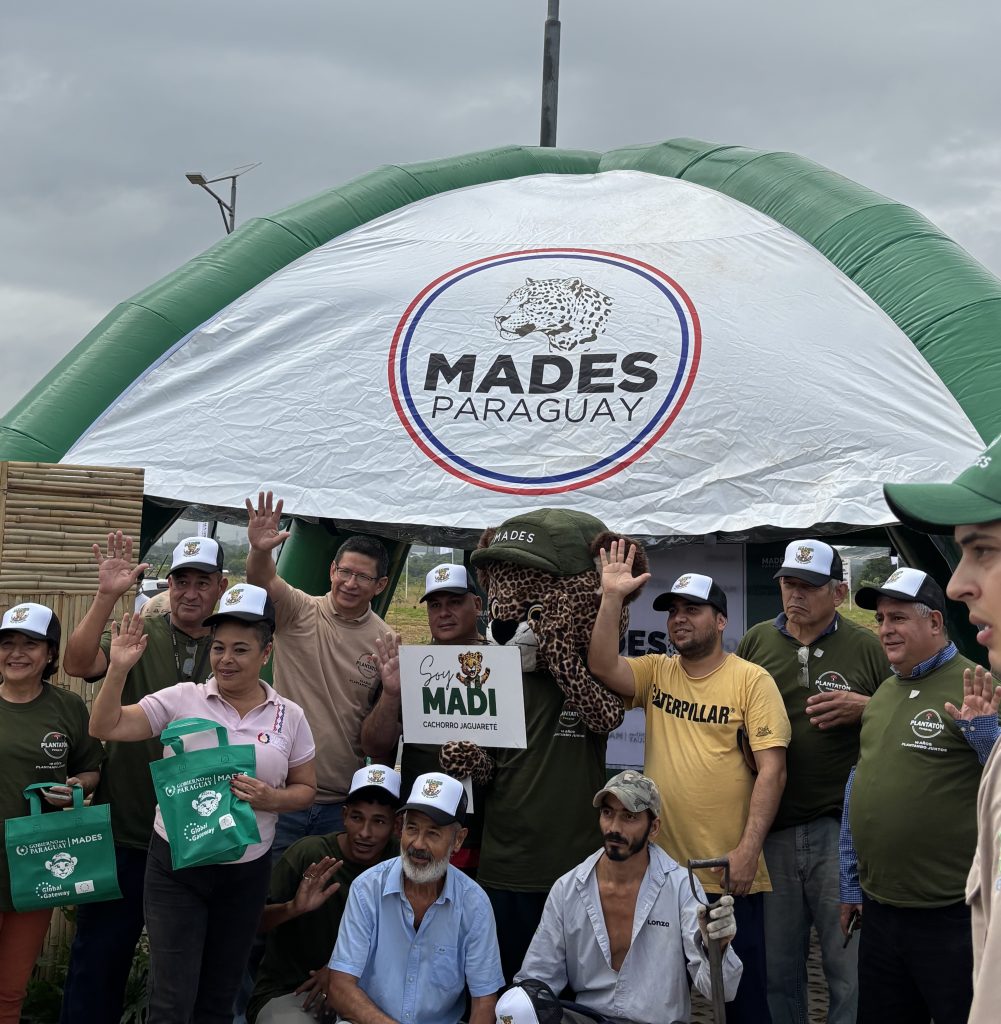 Plantatón organised with the help of the government.