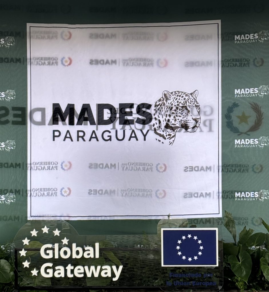 Plantatón organised with the help of the government.