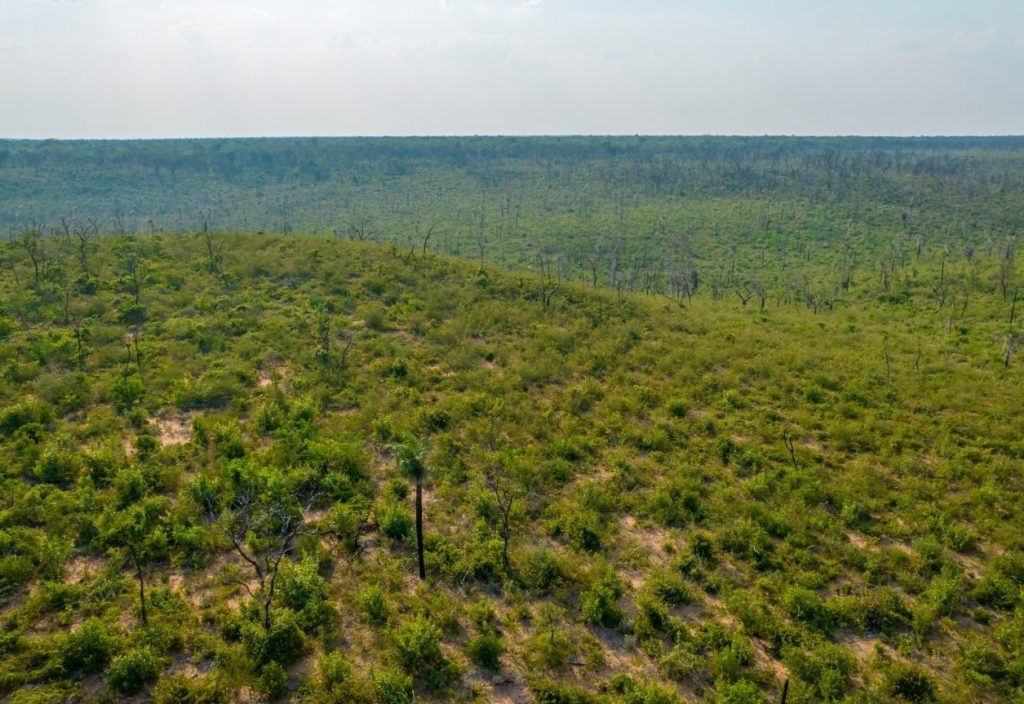 Paraguay's Natural Protected Areas