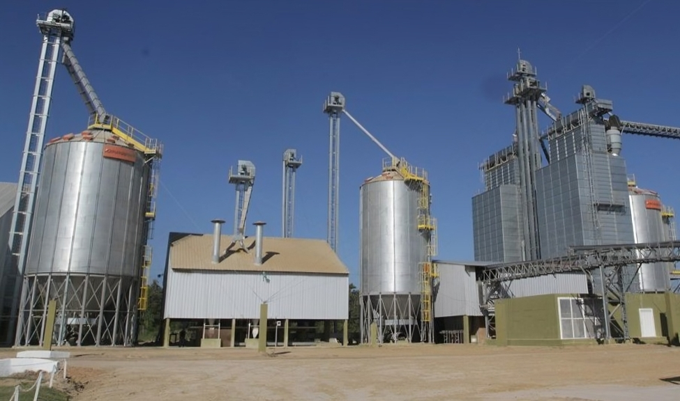 Paraguay’s Grain Processing Sector Reports Record Highs For Q1 2026