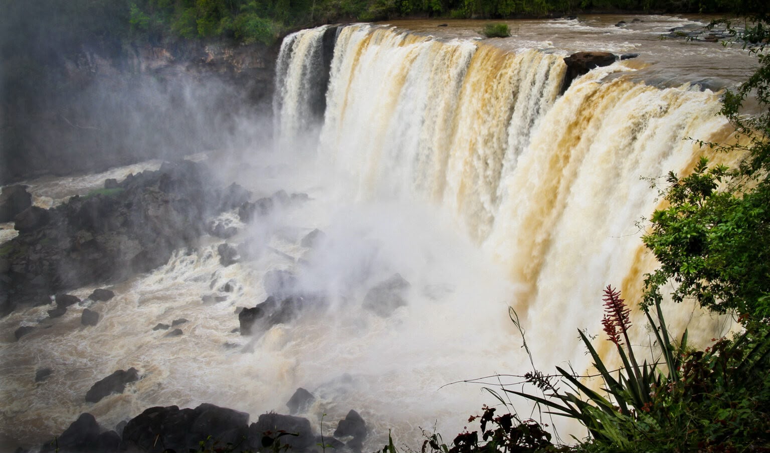 Paraguay’s Alto Paraná Biosphere Reserve Joins UNESCO Conservation Network