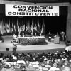 constitution