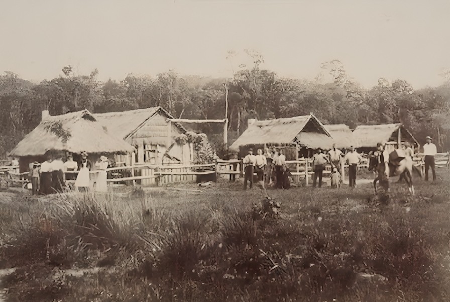 nueva australia