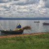 Fish Life In Paraguay