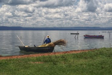 Fish Life In Paraguay