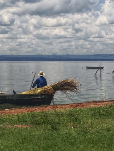 Fish Life In Paraguay