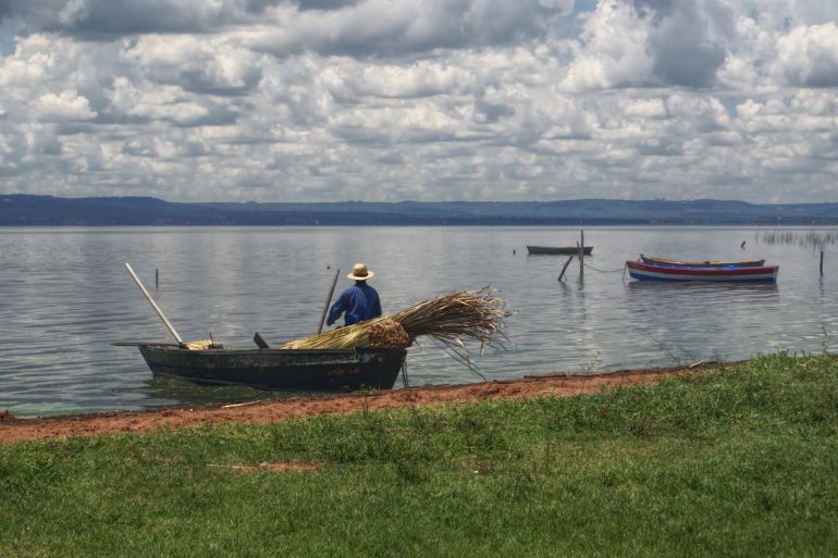 Fish Life In Paraguay