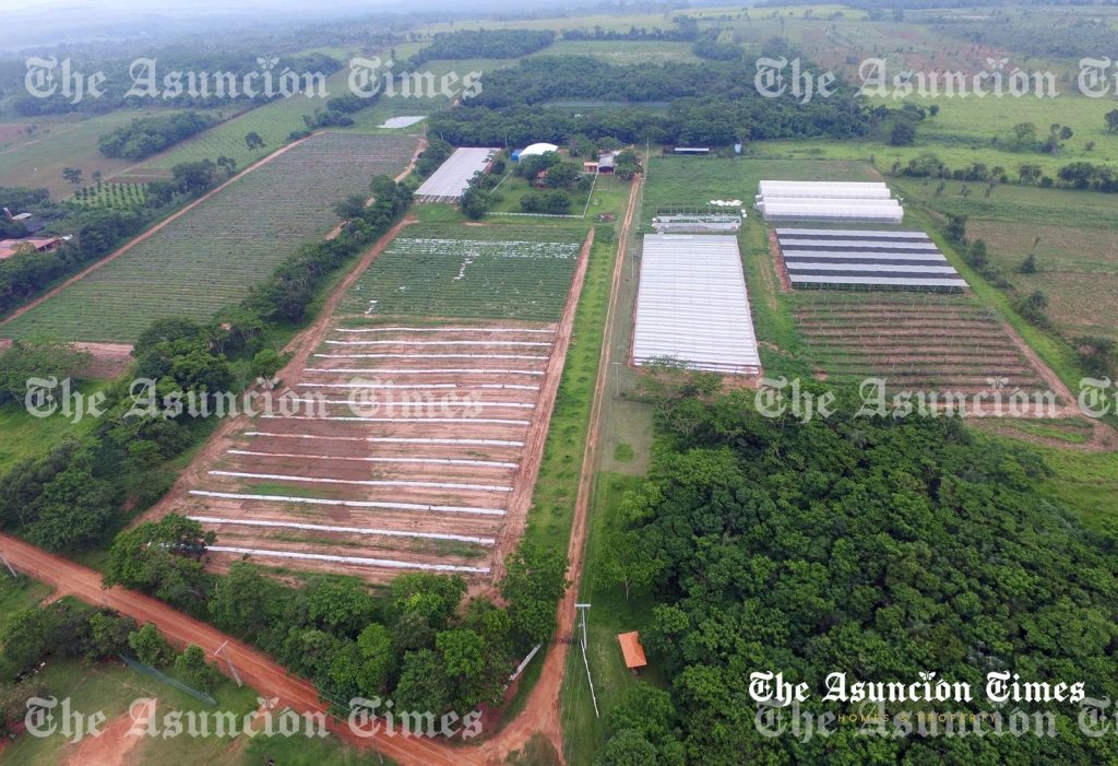 53-hectare working farm in Cordillera