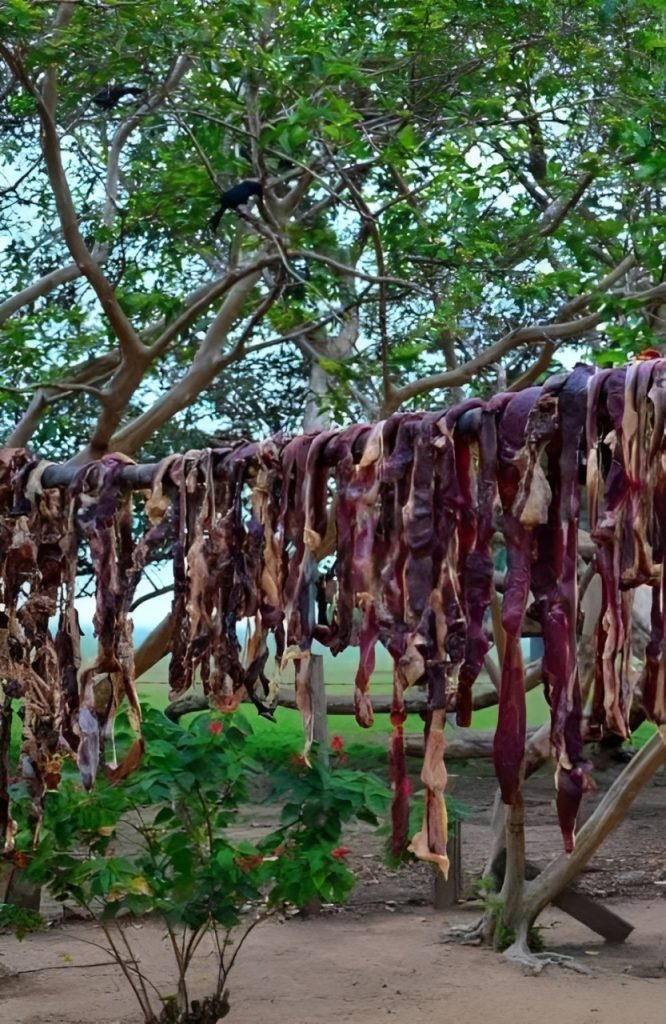 cecina